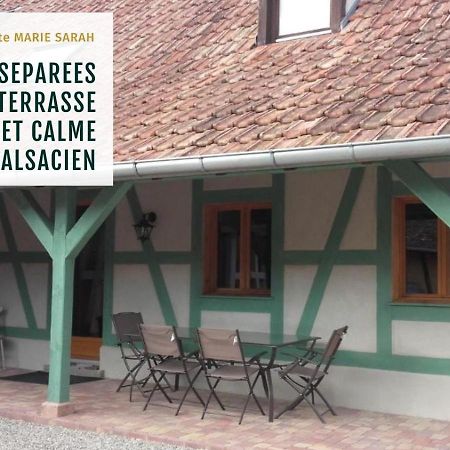 Gite Chez Marie-Sarah Petite Maison Calme Parking Ebersheim Luaran gambar